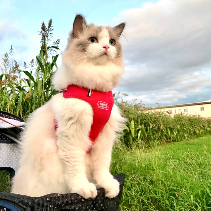 Ac69164e e186 4f11 9ad0 29a035a194a0 1686825154544