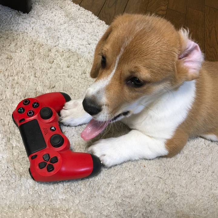 Ac6950ca d835 493d bb70 470579f5e09b 1590890240366