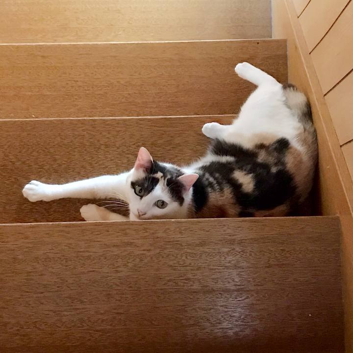 Ac6975e5 e80e 4180 b562 47d7f018a353 1534295890561