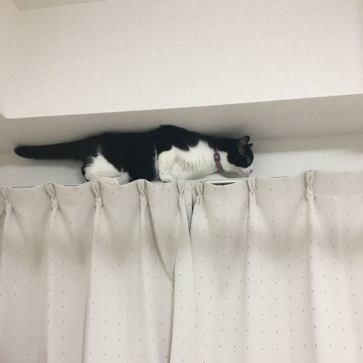 Ac69d0cb 603e 4e34 9ac4 142461557108 1561468616371