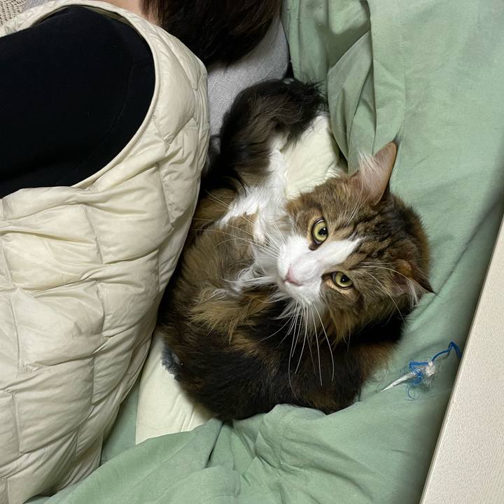 Ac69d27d 0fca 41f1 814d 1250cc2e8f24 1678361742221