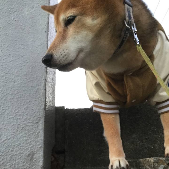 Ac69ebe9 4f99 4601 b32c 04b5855f98c5 1577779614237