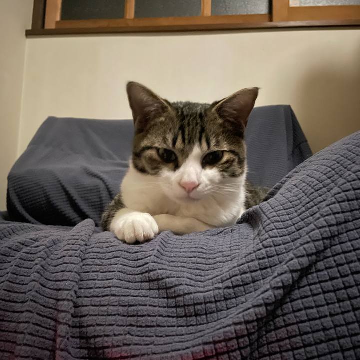 Ac69f822 67d7 4baa 9cd6 2c6a64e0b6bf 1731926456094