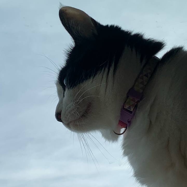 Ac6a1bae 17d2 407d 8574 ddc72cc99f6e 1759010599667