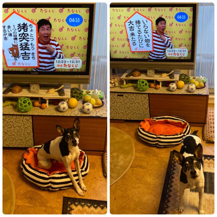 Ac6a48b2 0c48 4de9 bea0 fce56641a4ad 1577055760673