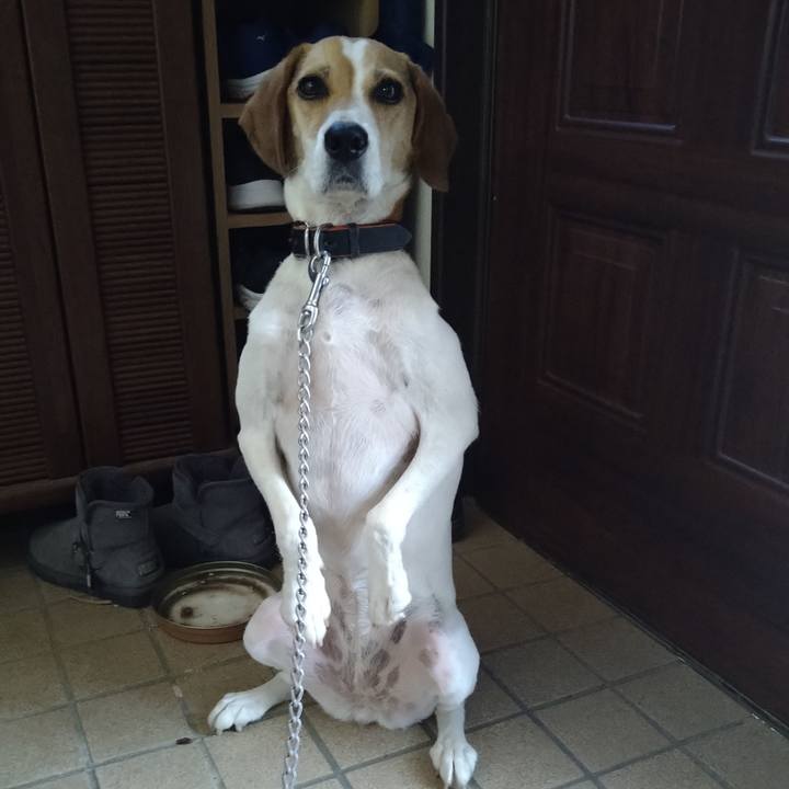 Ac6a5313 9de0 4bc9 960e c2c2f06b00f0 1630386620202