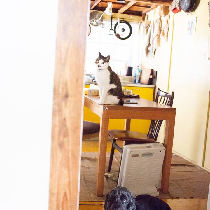 Ac6a538c ff60 4d85 8447 15b78558c9cd 1559009507412