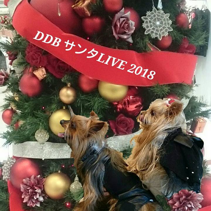 Ac6a55e7 0ea1 436f 8e76 1def87cbed2a 1545509810573