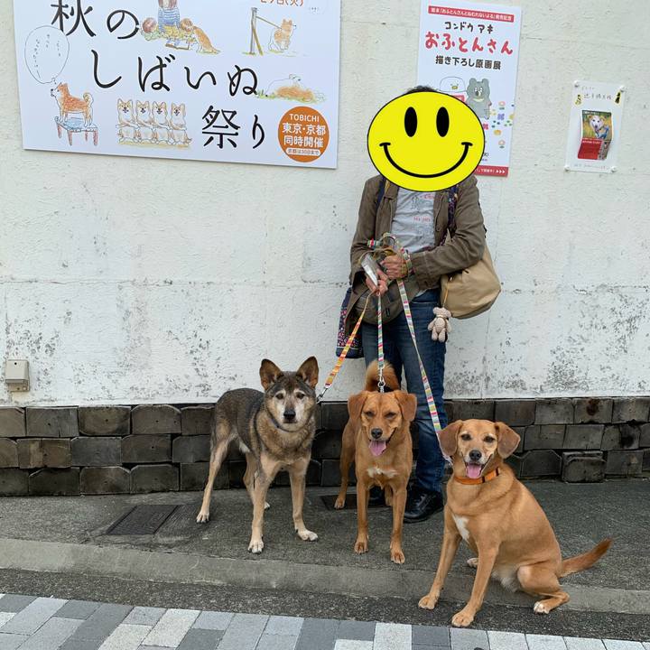 Ac6afa02 1fae 45d5 8183 fa5c8c500ae6 1572146761222