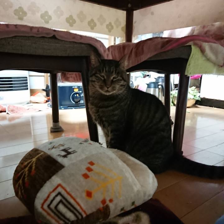 Ac6b1395 21b0 4162 8607 281470e132c9 1640379130866