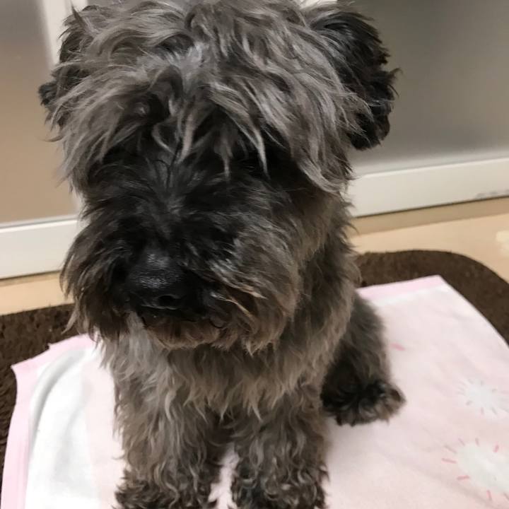 Ac6b22d8 62cd 45a5 a563 90c737f6246a 1523545028793