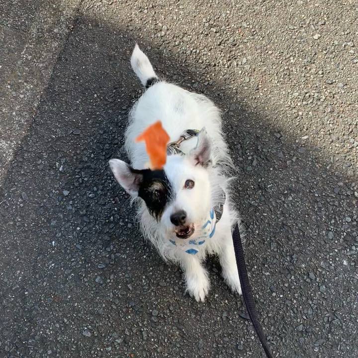 Ac6b89f0 c2d1 4609 b4f4 2d220d1b192f 1756855143211