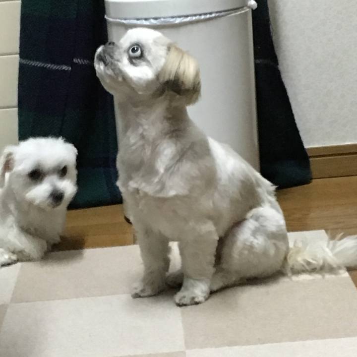 Ac6bb063 95f5 4d99 b888 1f5f817d4ab3 1548751824275