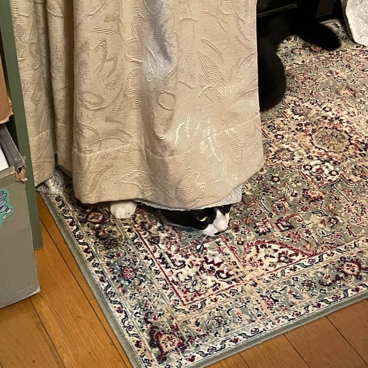 Ac6bba1c e3d6 4d65 a28d 0edc63626d04 1731074098299