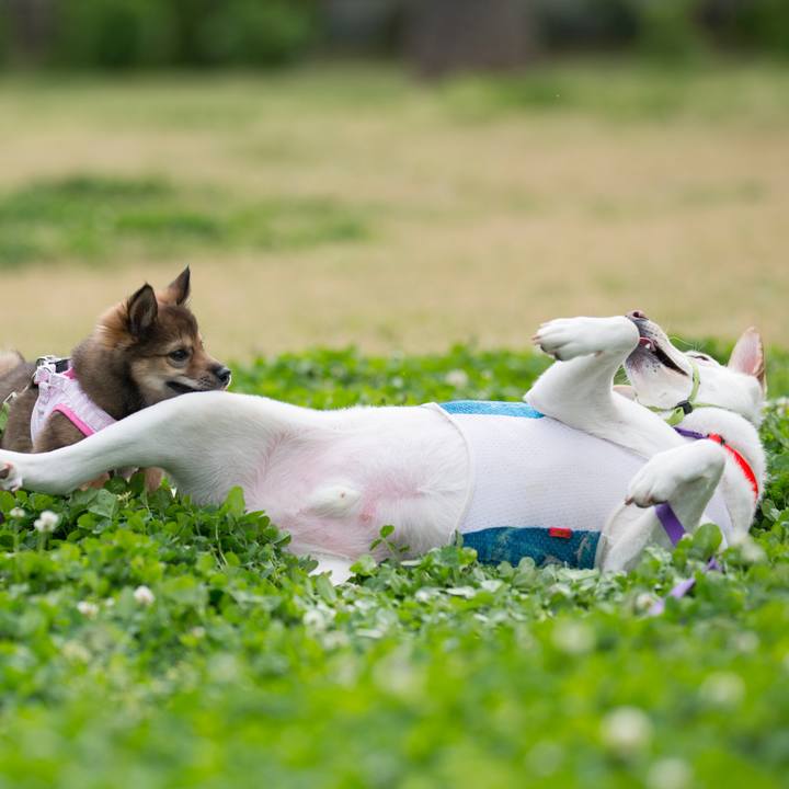 Ac6bbcea 8c02 41ae 853a 0897d49998a6 1523617071411