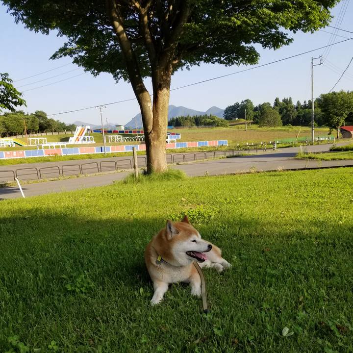 Ac6bd2eb 0de1 4138 a141 d03547f3348b 1653812132313