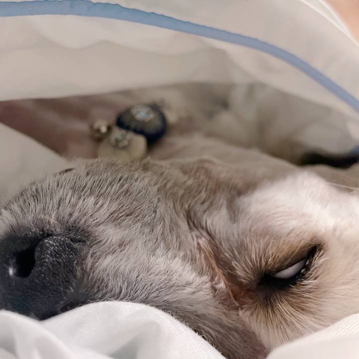 Ac6bfac0 e20c 4a6d a4cd 9d7ac7b7894f 1759918715232