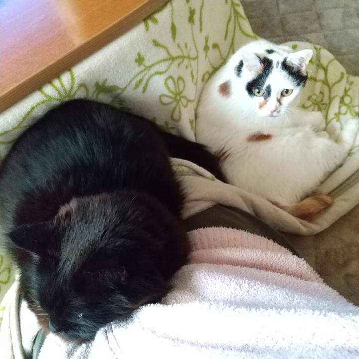 Ac6c0d4e 2269 4000 8f4a fbeeaa404512 1646983293320