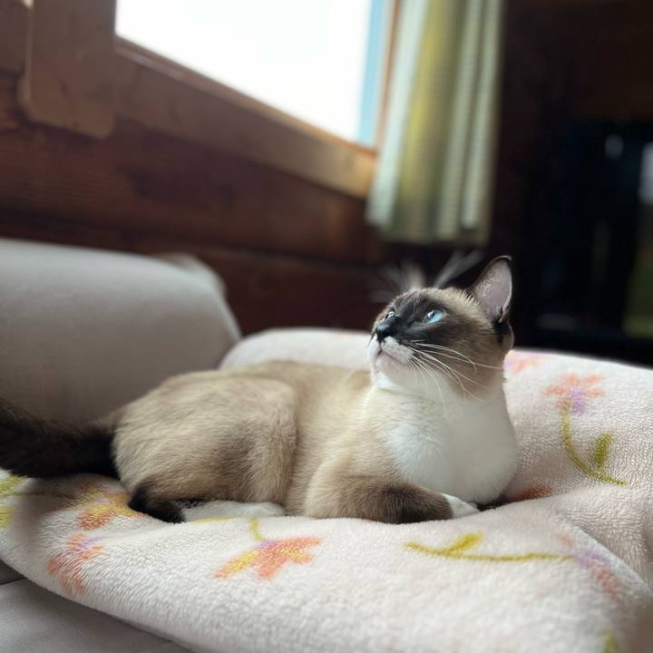 Ac6c149b d100 401a 87f9 b09e22c0f29e 1732321951460