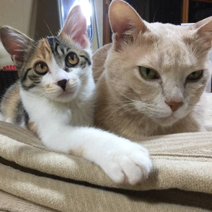 Ac6c3d99 306f 4609 b1a4 9f77146074f0 1635331186493