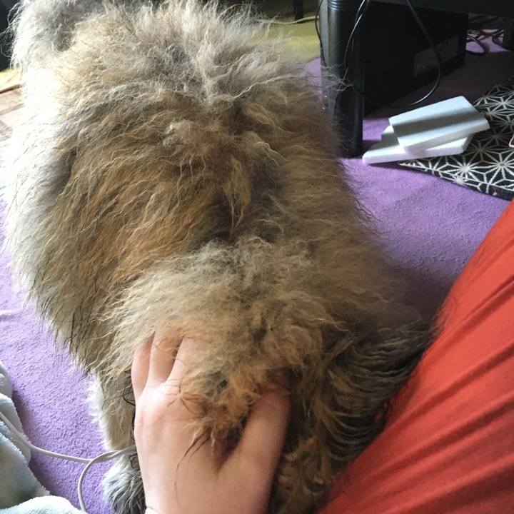 Ac6c8083 feea 494b 8830 141619b07e06 1578861635372