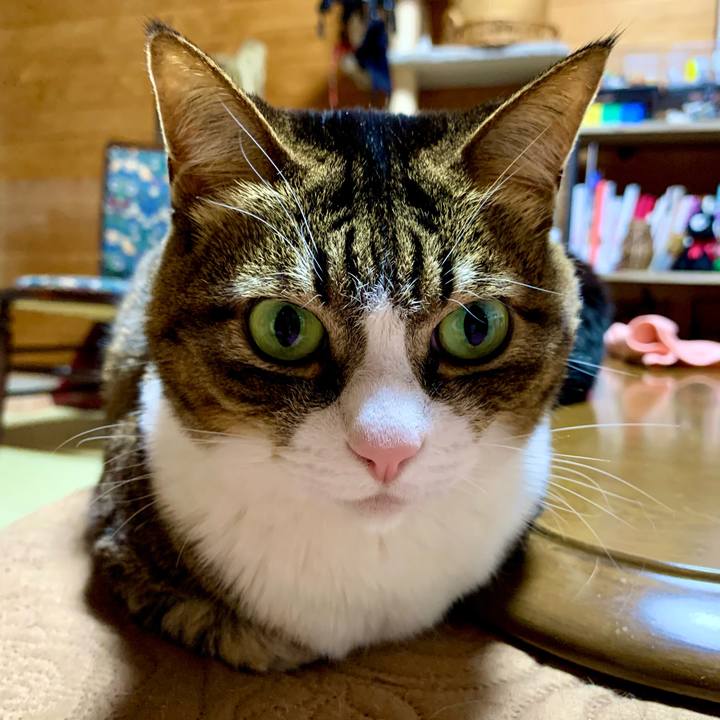 Ac6c9d1f e83f 4178 844e ebef29a94647 1614429061747