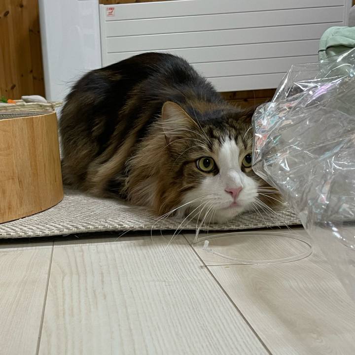 Ac6ca30e 3185 48fb 8a96 8927249e61c6 1674503892759