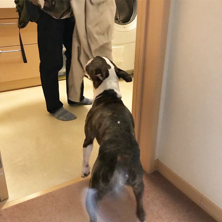 Ac6ce8e1 6344 483e b5b3 a4907e9e325d 1521205976988