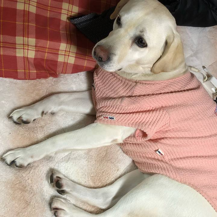 Ac6d03db 0e9e 43b6 bc61 911ca9f7cb01 1612479029543