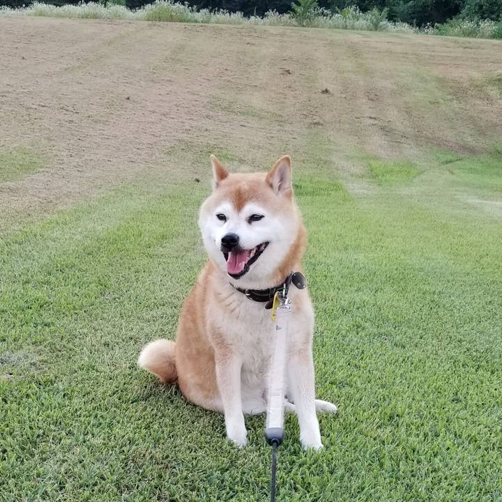 Ac6d2049 04d1 4b59 a7ab 2999df2ed4b5 1626859989862