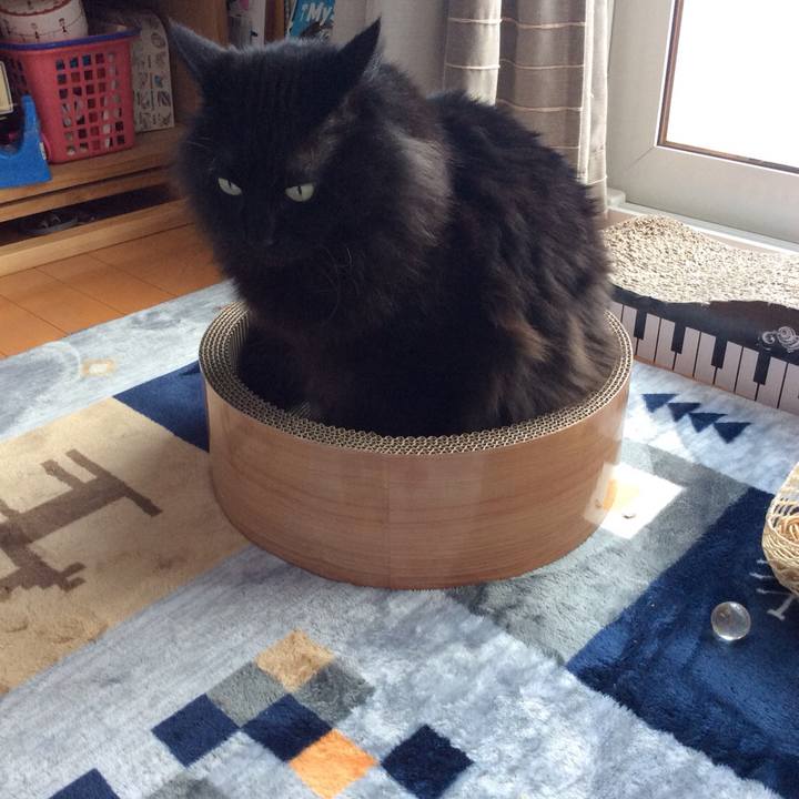 Ac6d8c97 421c 4745 ae07 f2f08ec19013 1581482993175