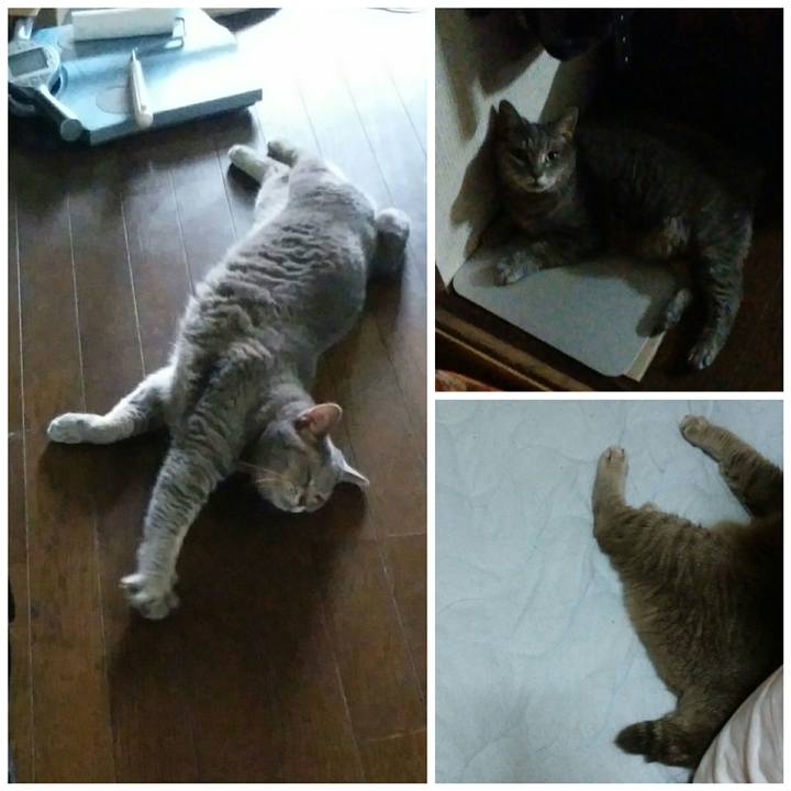 Ac6d9c8f a153 4cb9 b31d ae131be9a98a 1597059275747