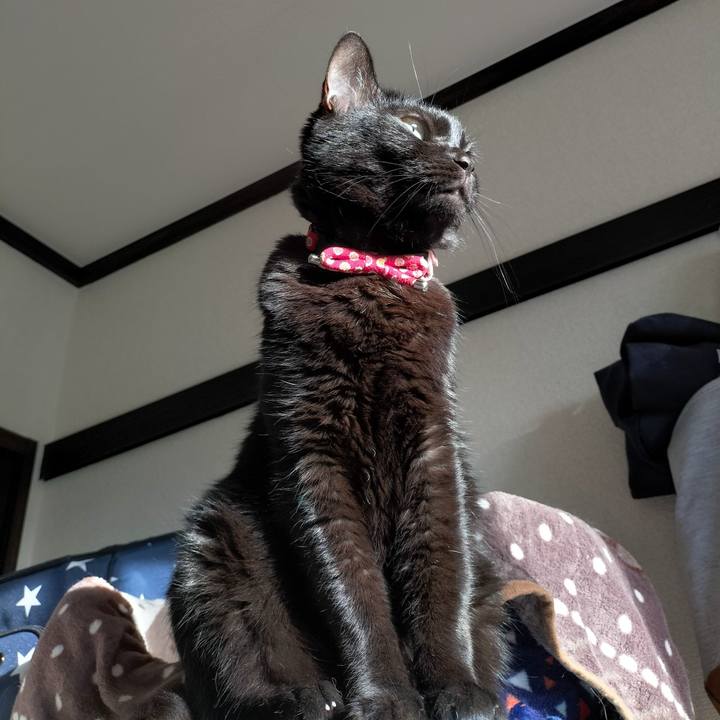 Ac6d9ebd 3286 4d00 8d9a 9f8e813ec306 1665439893675