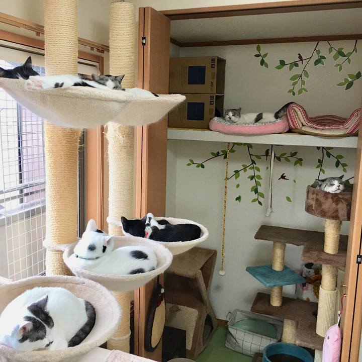 Ac6dce81 aab1 40e4 b55a e5254c3ce5a0 1567129725327