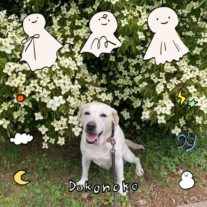 Ac6de323 1d93 4386 8822 6def7d5180f3 1749525501147