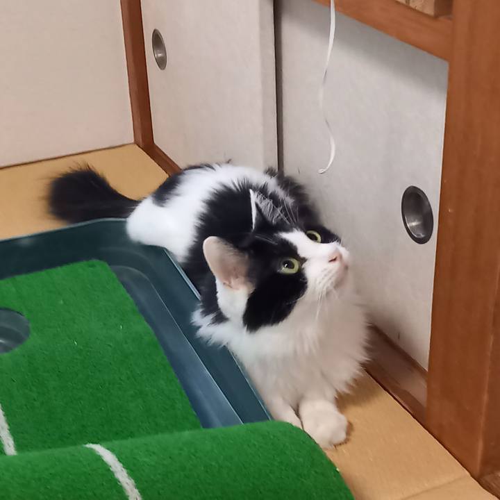 Ac6e01e3 5320 4e9b 9720 0f2830f866f3 1694865810236