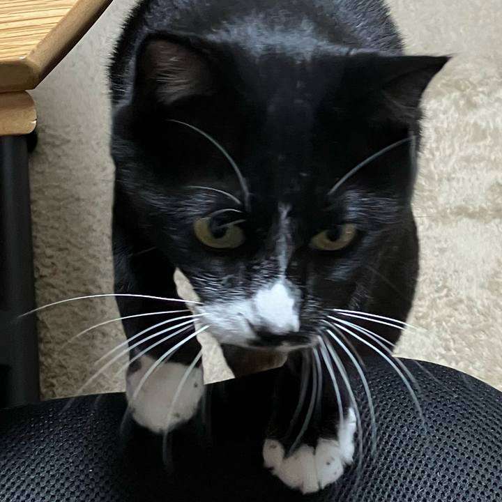 Ac6e2a80 2eb4 45e0 b8e3 2de10fe6f530 1741405393515