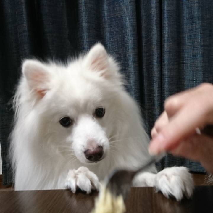 Ac6e55f3 f536 4cbe 8402 8b53a916dfde 1609404497332