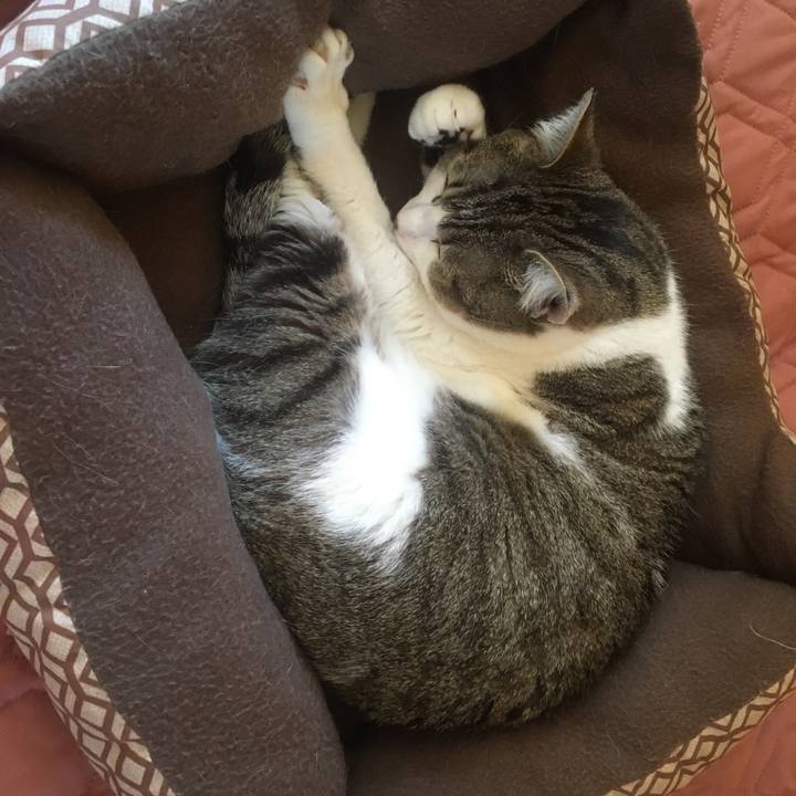 Ac6ec844 51ab 46dd a8d5 620caff82809 1617753783790