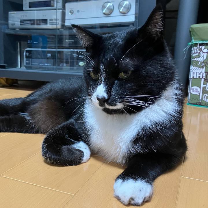 Ac6ecb1e 911a 43f3 a25c 24b16a94df79 1726716002061