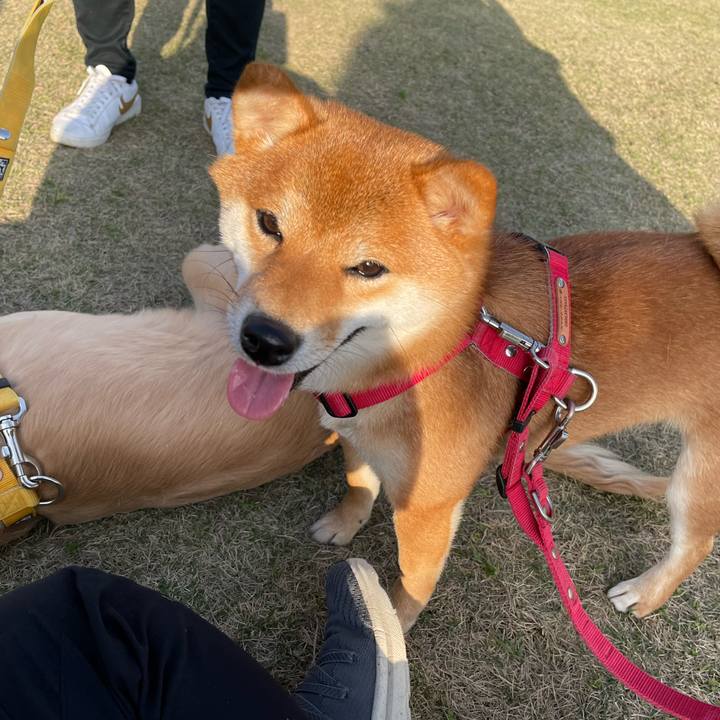 Ac6edf34 4bd2 47e5 9a8b 426a847b8686 1679223582267