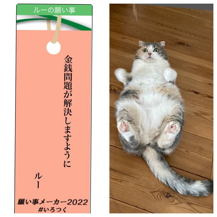 Ac6ee07f 06aa 44fc 84c6 b2970a8f3103 1657183661535