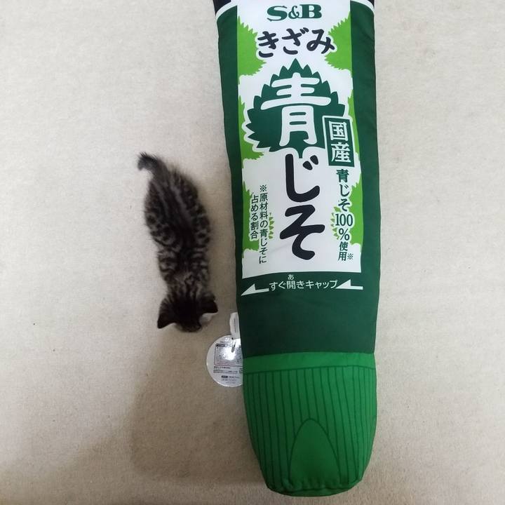 Ac6ee5d2 790b 4e66 aba7 42f01cb4cc00 1660173647693