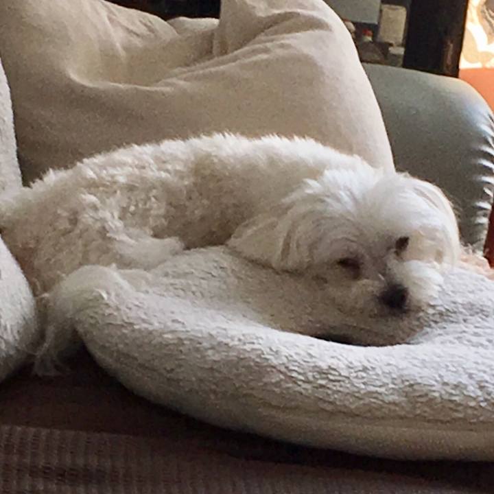 Ac6f1df9 499f 4468 b6ba 7fefc8ed4983 1536148755694