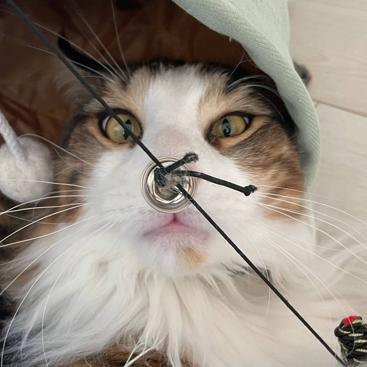 Ac6f233e f61e 4145 8b0c 03a69e9d6345 1649456288015