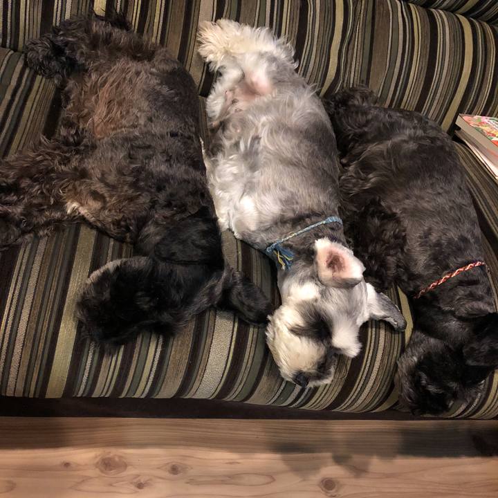 Ac6f8c0c ef5a 4fee 9ae5 8c28f804e384 1538836407490