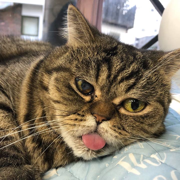 Ac6f92b5 7b90 4089 a161 41a6029ac9c3 1577839498545