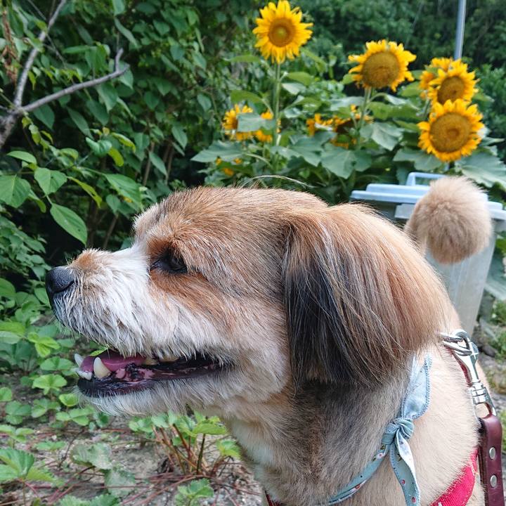 Ac6fab3b b1c5 4eb4 b5b9 4477be843622 1561458446449