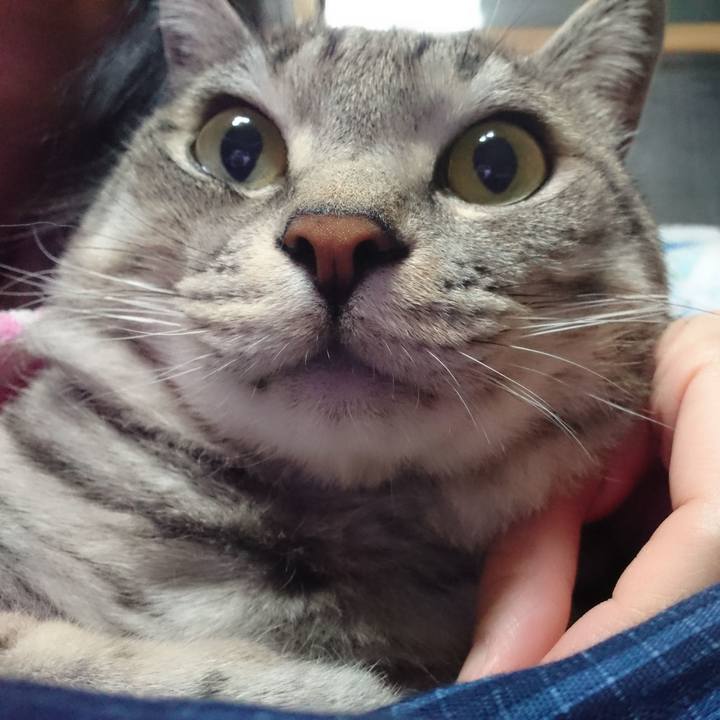 Ac6fb939 6eb4 4c9e bbed 8f25cd654687 1573226594608