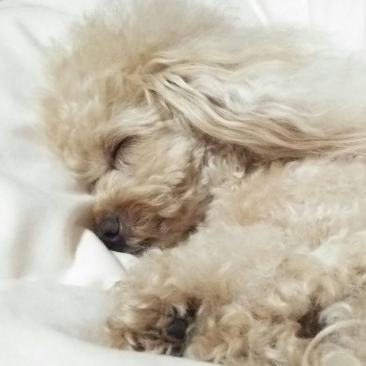 Ac6fbb62 6fe7 48dd b283 559ac7fd0bb0 1532869153227